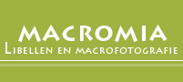 Macromia2